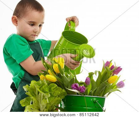 Little gardener boy, isolated on white