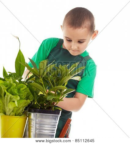 Little gardener boy, isolated on white
