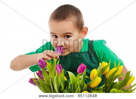 Little gardener boy, isolated on white