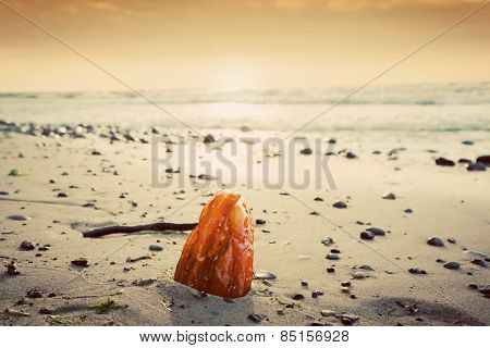 Amber stone on the beach. Precious gem, treasure concept. Baltic Sea, Poland.