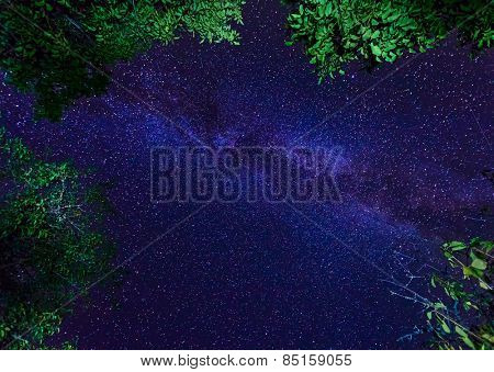 The Milky Way galaxy on night starry sky with trees crown