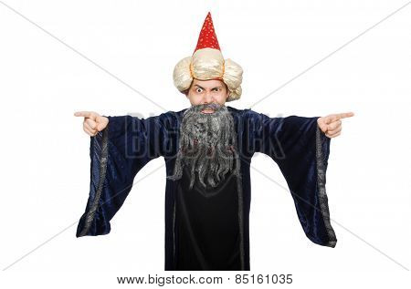 Funny wise wizard isolated on the white