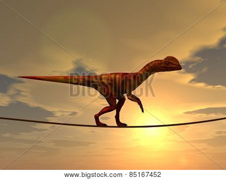 Concept or conceptual abstract business metaphor as wild heavy dinosaurus balancing on rope over sunset sky background