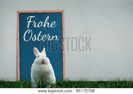 Easter bunny against frohe ostern