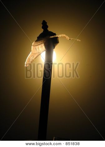 uszkodzony lamp2