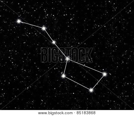 constellation great Bear against the starry sky