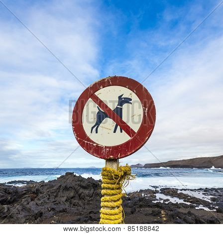 No Dog Sign At The Coast