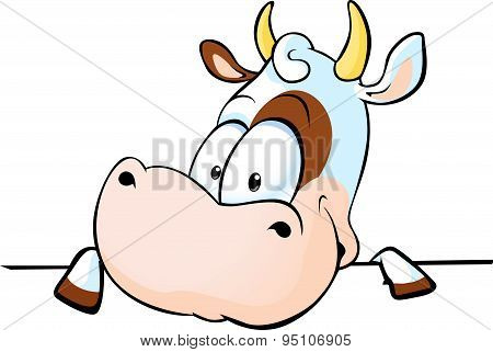 Cow Peeks Out From Behind A White Surface - Vector Illustration