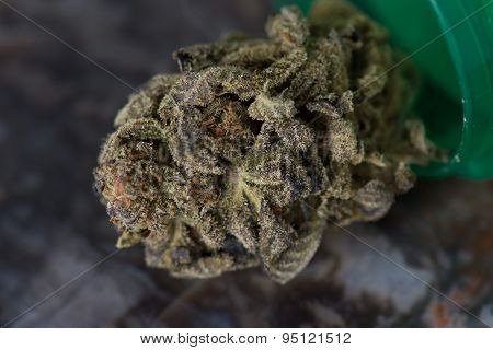 Bordello Indica Medical Marijuana