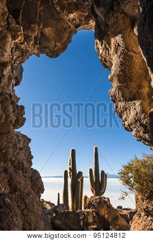 Isla De Pescadores, Salt Lake Uyuni In Bolivia