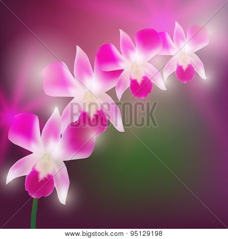 Beautiful Orchids On Blurred Dark Background. Vector