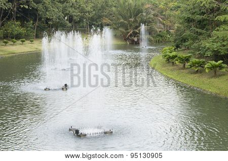Fountain