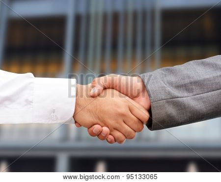 Handshake Gesture of two Professionals