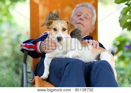 Senior Man With Dog And Cat