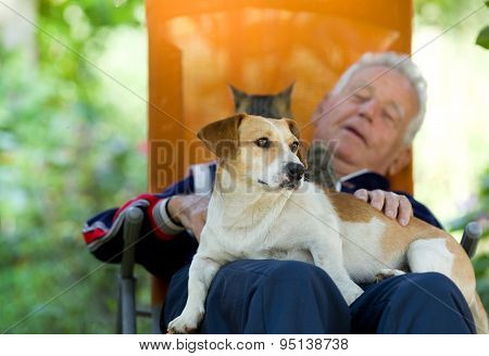 Senior Man With Dog And Cat