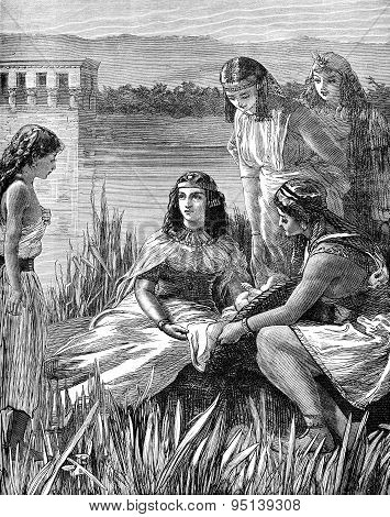 Moses found amongst the bulrushes