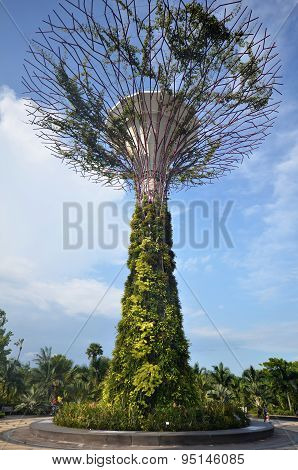 Super-tree In Garden By The Bay