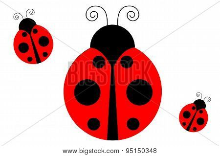 ladybug