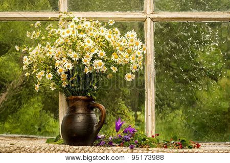 Still Life Bouquet Of Chamomiles On A Window Sill In A Sunny Rainy Day