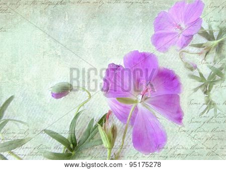 Postcard Floral Template.