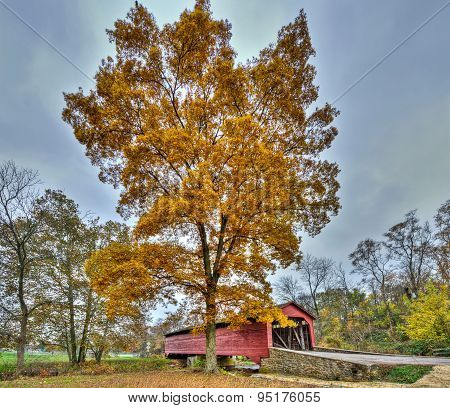 Maryland Covered Bridge In Autumn