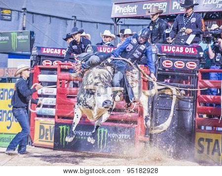 Last Cowboy Standing