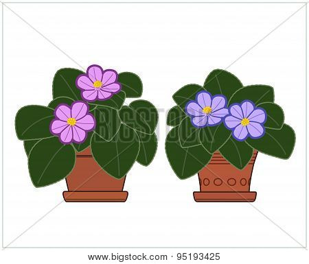 Potted Plant. Houseplants. Vector.