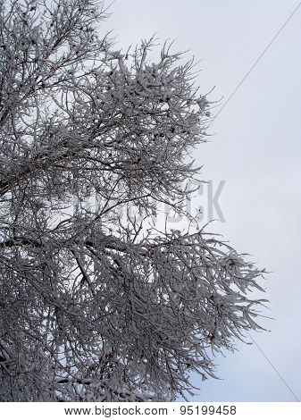 Image of winter
