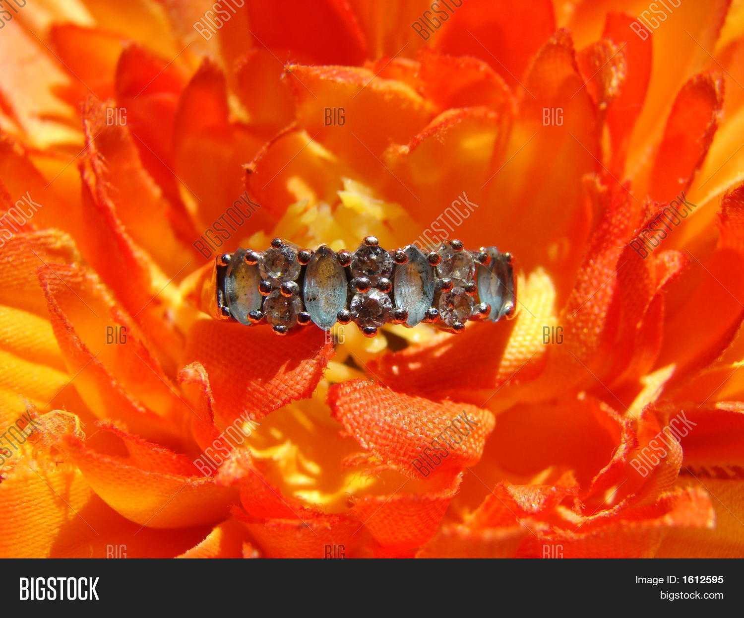 Image Preview