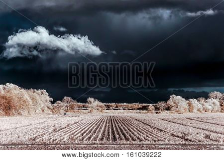 Cntrast Infrared Landscape, Countryside View