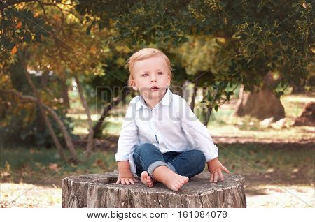 Boy 1 years old sitting on a tree stump on a sunny summer day. Kid outdoor enjoying nature.