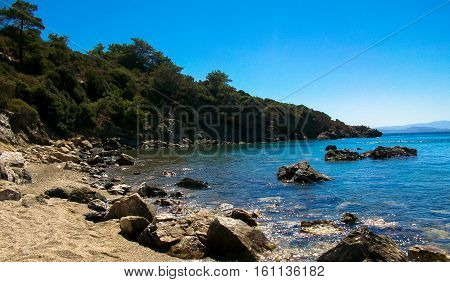 the sea rocks forest water sand summer