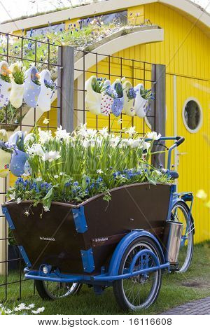 Keukenhof-haverne, Lisse, Holland