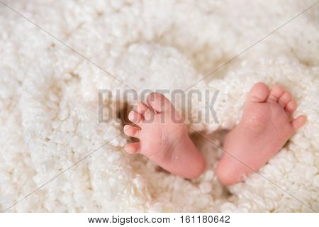 Bare feet of a cute newborn baby in warm white blanket. Childhood. Small bare feet of a little baby girl or boy. Sleeping newborn child.