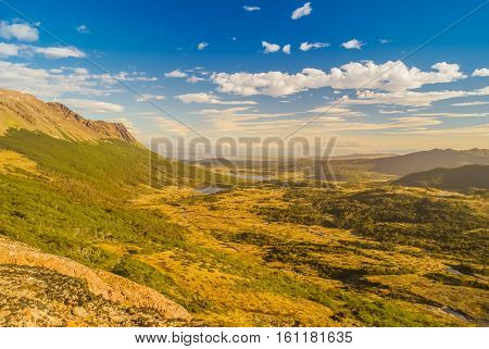 Lonely Wilderness In Chile