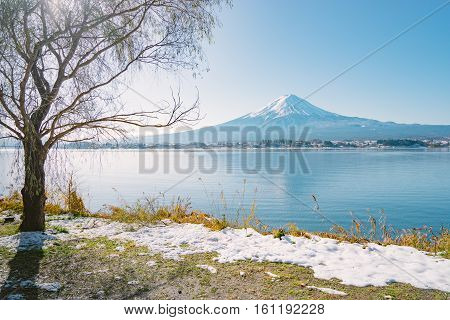 Winter Landscape At Lake Kawaguchiko In Yamanashi, Japan