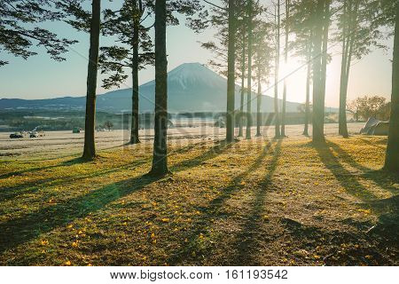 Mount Fuji Fujisan Mountain With Sunrise Japan