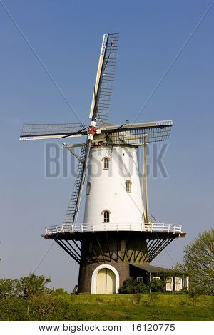 mulino a vento, Veere, Zeeland, Paesi Bassi