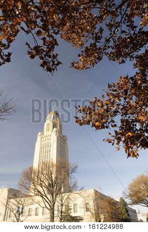 Leaves still hold on in December at Lincoln's Capital