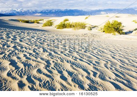 Dune di sabbia di Stovepipe Wells, Death Valley National Park, California, USA