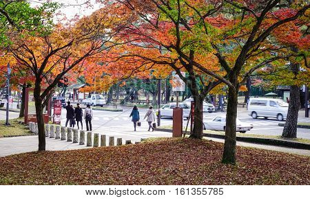 Autumn Scenery In Kansai, Japan