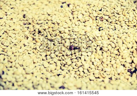 brown coffee beans dried for beverage vintage background