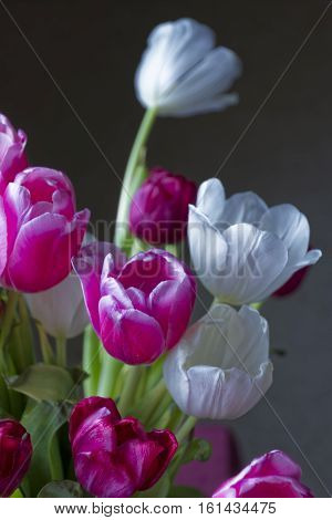 A bouquet of tulips on Mother's Day.