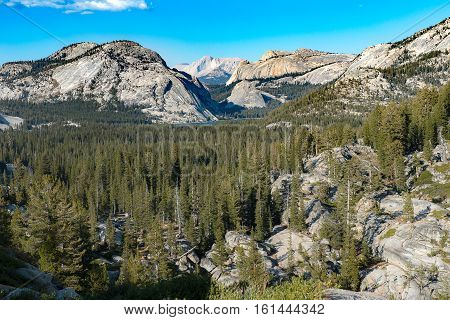Tenaya Lake