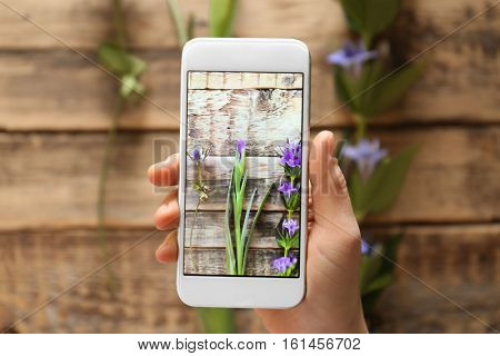 Female hand taking photo of beautiful flowers with smartphone