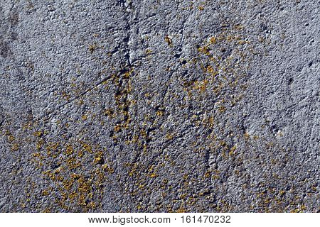 Weathered Cement Wall With Moss.
