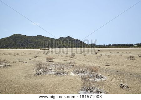 Desert With Mountains