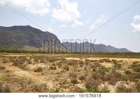 Desert With Mountains
