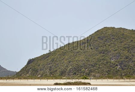 edge of a mountain covered of green trees against a clear blue sky. Copy space