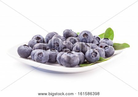 Whortleberry isolated on a white background cutout